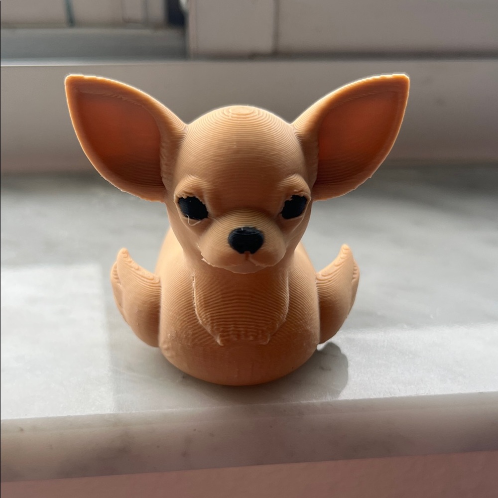 Chihuahua Duck